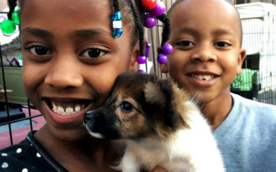 Family Promise and PetSmart Charities® Renew Pets with a Promise Program