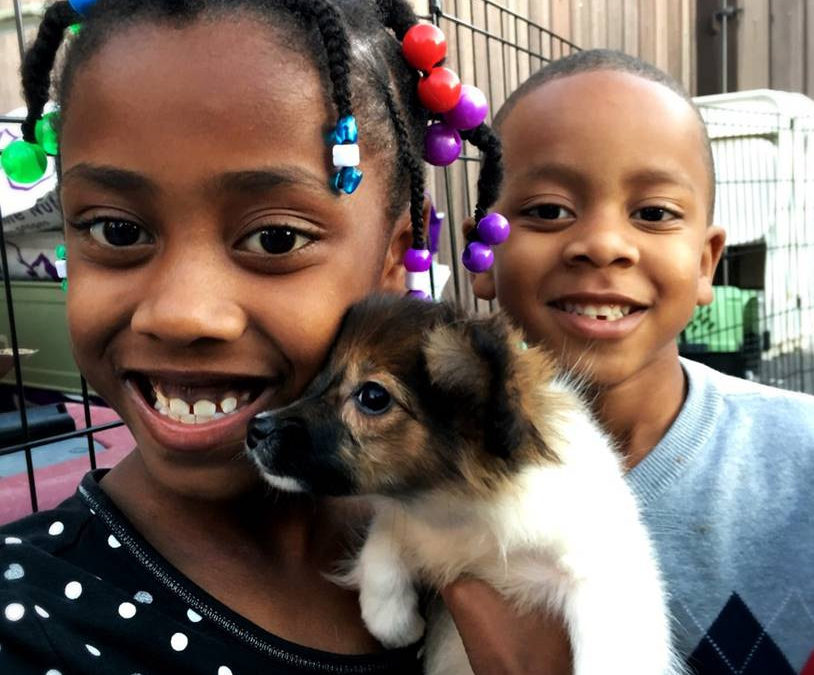 Family Promise and PetSmart Charities® Renew Pets with a Promise Program